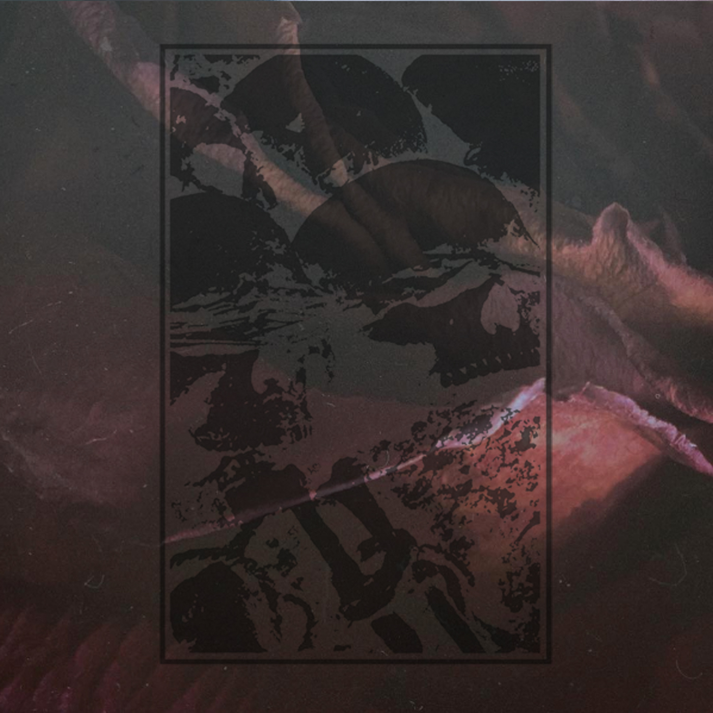 Dead To A Dying World - Reprise 2xLP