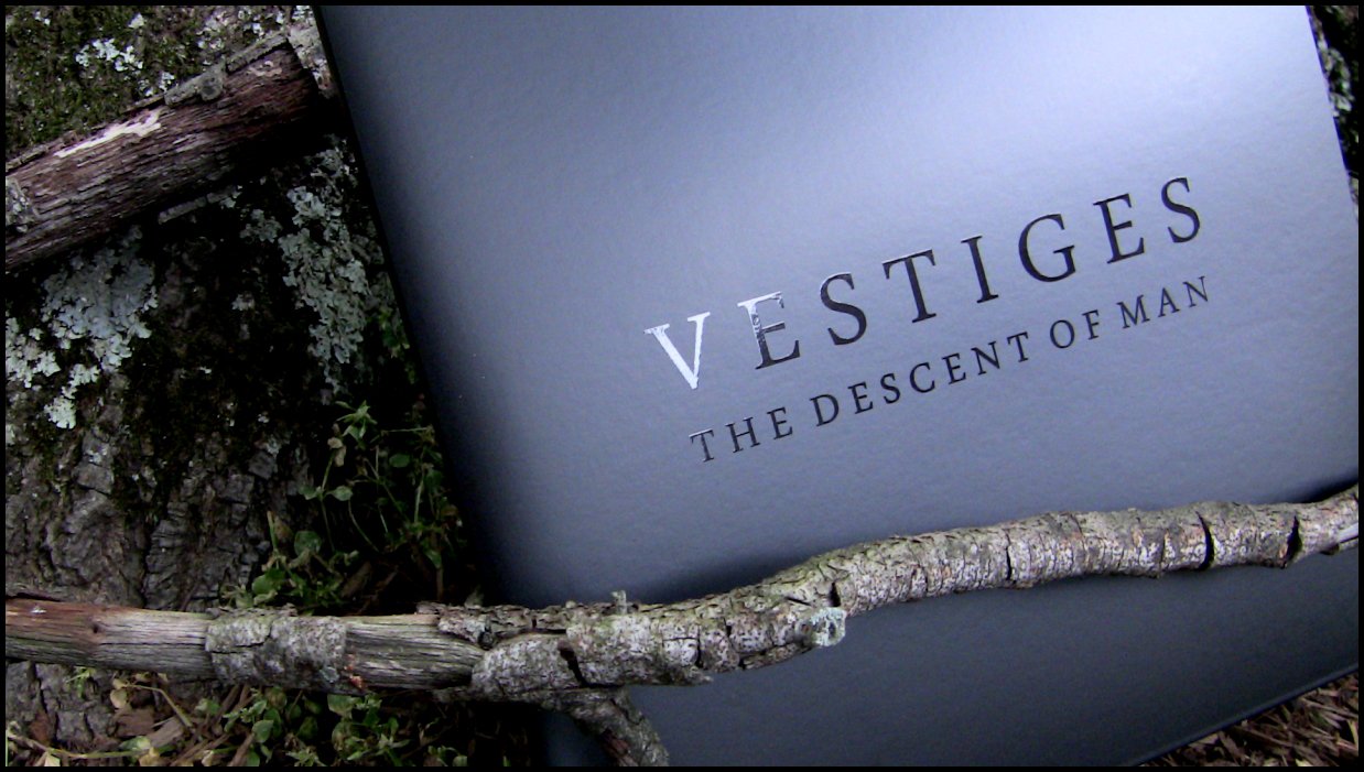 Vestiges - The Descent Of Man 2xCD